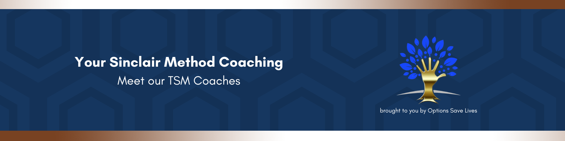 OSL web Coaches
